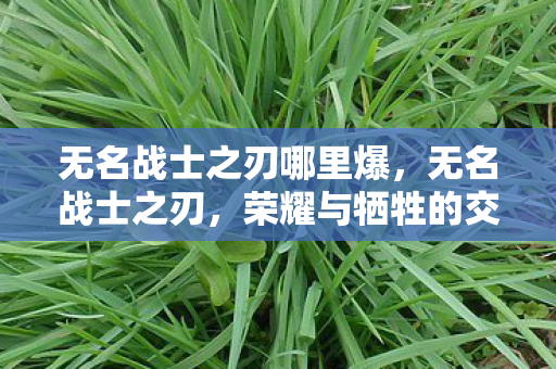 无名战士之刃哪里爆，无名战士之刃，荣耀与牺牲的交织