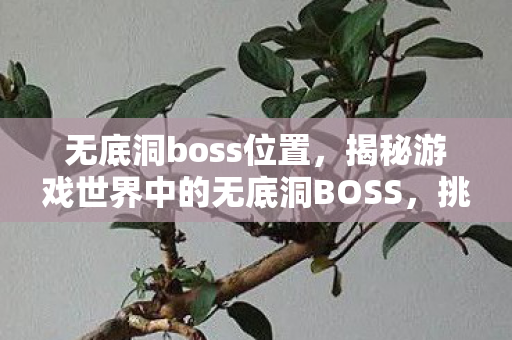 无底洞boss位置，揭秘游戏世界中的无底洞BOSS，挑战与攻略策略
