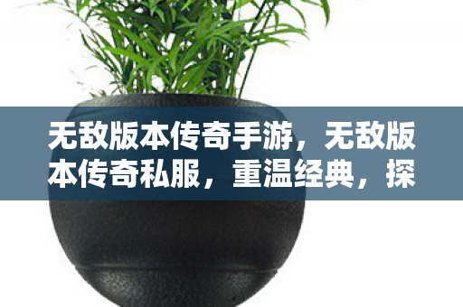 无敌版本传奇手游，无敌版本传奇私服，重温经典，探索未知的游戏世界