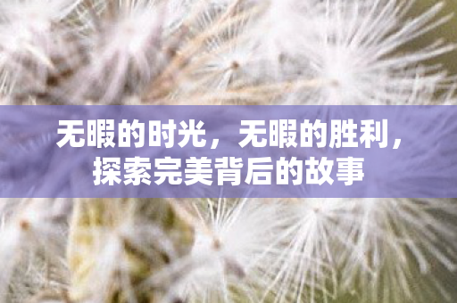 无暇的时光，无暇的胜利，探索完美背后的故事