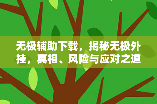 无极辅助下载，揭秘无极外挂，真相、风险与应对之道