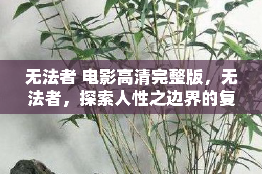 无法者 电影高清完整版，无法者，探索人性之边界的复杂旅程