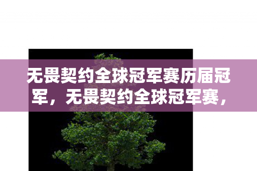 无畏契约全球冠军赛历届冠军，无畏契约全球冠军赛，电竞巅峰之战的热血瞬间