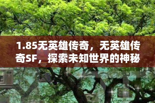 1.85无英雄传奇，无英雄传奇SF，探索未知世界的神秘之旅