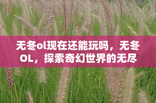 无冬ol现在还能玩吗，无冬OL，探索奇幻世界的无尽魅力