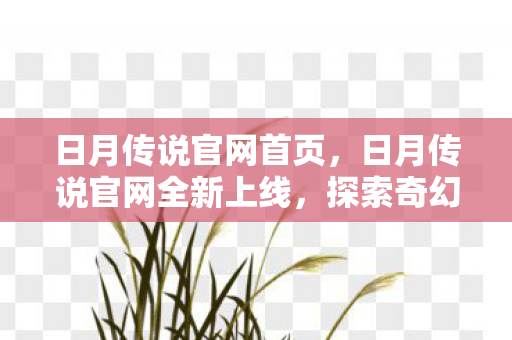 日月传说官网首页，日月传说官网全新上线，探索奇幻世界的秘密