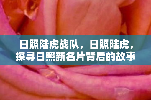 日照陆虎战队，日照陆虎，探寻日照新名片背后的故事