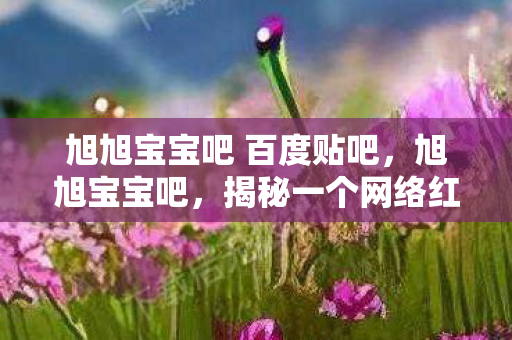 旭旭宝宝吧 百度贴吧，旭旭宝宝吧，揭秘一个网络红人的崛起与魅力