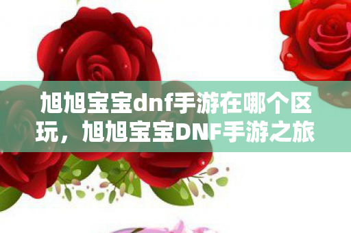 旭旭宝宝dnf手游在哪个区玩，旭旭宝宝DNF手游之旅，揭秘他的游戏区域与背后的故事