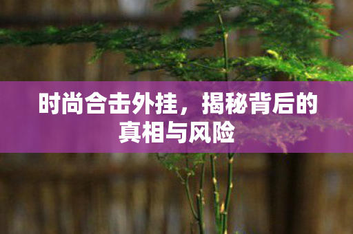 时尚合击外挂，揭秘背后的真相与风险