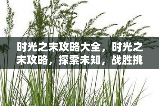 时光之末攻略大全，时光之末攻略，探索未知，战胜挑战