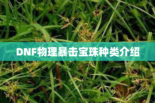 DNF物理暴击宝珠种类介绍
