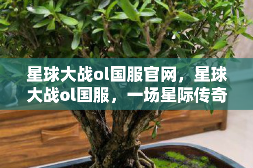 星球大战ol国服官网，星球大战ol国服，一场星际传奇的续写