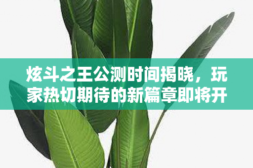 炫斗之王公测时间揭晓，玩家热切期待的新篇章即将开启！
