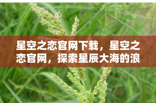 星空之恋官网下载，星空之恋官网，探索星辰大海的浪漫故事