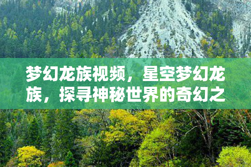 梦幻龙族视频，星空梦幻龙族，探寻神秘世界的奇幻之旅