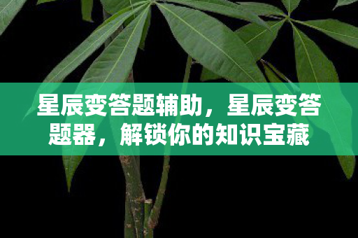 星辰变答题辅助，星辰变答题器，解锁你的知识宝藏