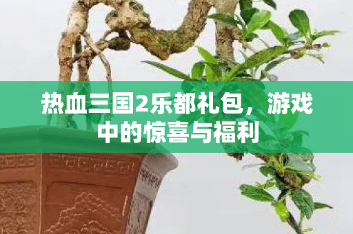 热血三国2乐都礼包，游戏中的惊喜与福利
