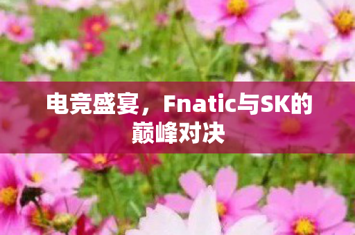 电竞盛宴，Fnatic与SK的巅峰对决