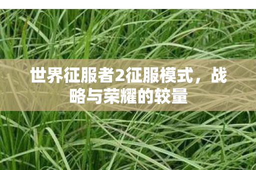 世界征服者2征服模式，战略与荣耀的较量
