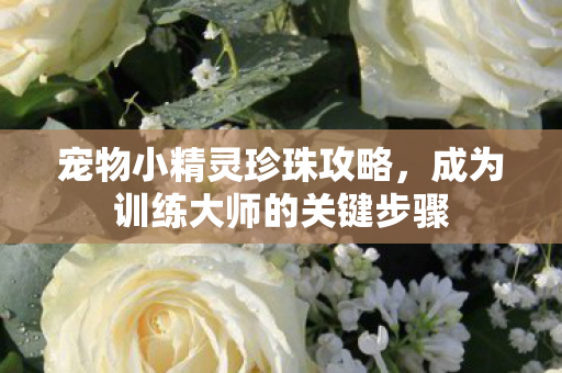 宠物小精灵珍珠攻略，成为训练大师的关键步骤