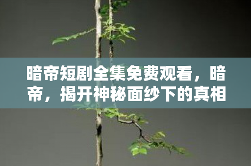 暗帝短剧全集免费观看，暗帝，揭开神秘面纱下的真相