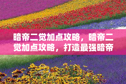 暗帝二觉加点攻略，暗帝二觉加点攻略，打造最强暗帝战力！