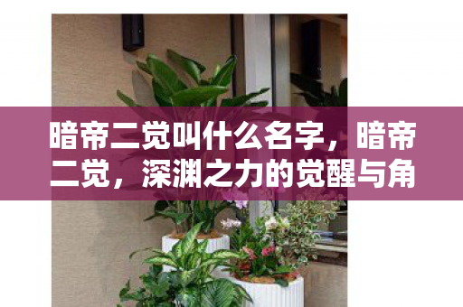 暗帝二觉叫什么名字，暗帝二觉，深渊之力的觉醒与角色蜕变