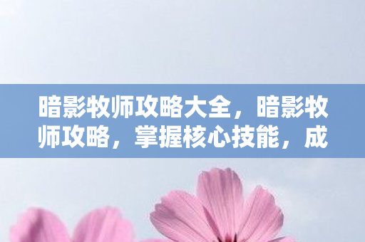 暗影牧师攻略大全，暗影牧师攻略，掌握核心技能，成为顶尖玩家