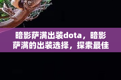 暗影萨满出装dota，暗影萨满的出装选择，探索最佳装备搭配之路