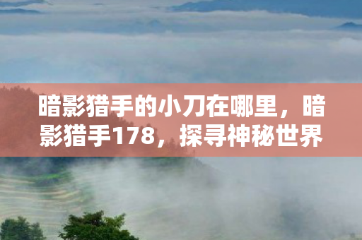 暗影猎手的小刀在哪里，暗影猎手178，探寻神秘世界的秘密守护者