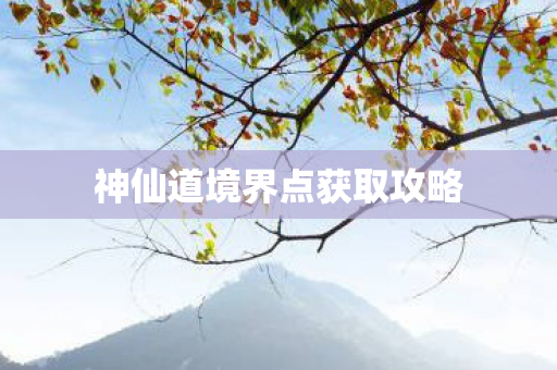 神仙道境界点获取攻略