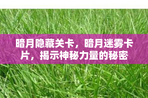 暗月隐藏关卡，暗月迷雾卡片，揭示神秘力量的秘密