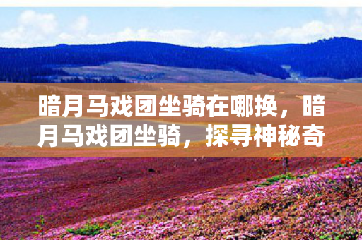 暗月马戏团坐骑在哪换，暗月马戏团坐骑，探寻神秘奇幻之旅的梦幻伙伴