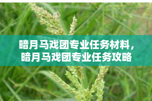 暗月马戏团专业任务材料，暗月马戏团专业任务攻略