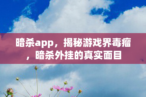 暗杀app，揭秘游戏界毒瘤，暗杀外挂的真实面目