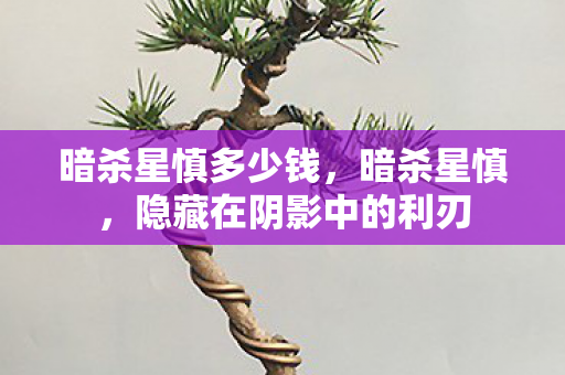 暗杀星慎多少钱，暗杀星慎，隐藏在阴影中的利刃