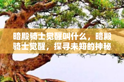 暗殿骑士觉醒叫什么，暗殿骑士觉醒，探寻未知的神秘力量