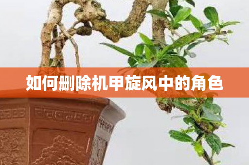 如何删除机甲旋风中的角色