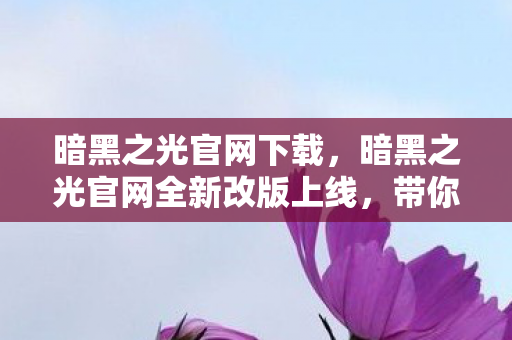 暗黑之光官网下载，暗黑之光官网全新改版上线，带你领略不一样的游戏世界！