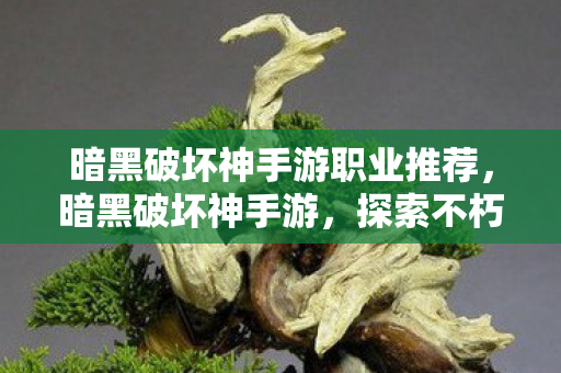 暗黑破坏神手游职业推荐，暗黑破坏神手游，探索不朽的暗黑世界