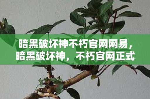 暗黑破坏神不朽官网网易，暗黑破坏神，不朽官网正式上线，经典再现，全新篇章等你开启！