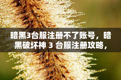暗黑3台服注册不了账号，暗黑破坏神 3 台服注册攻略，详细步骤与注意事项