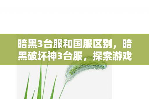 暗黑3台服和国服区别，暗黑破坏神3台服，探索游戏世界的独特魅力
