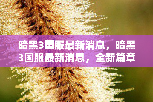 暗黑3国服最新消息，暗黑3国服最新消息，全新篇章，震撼来袭！