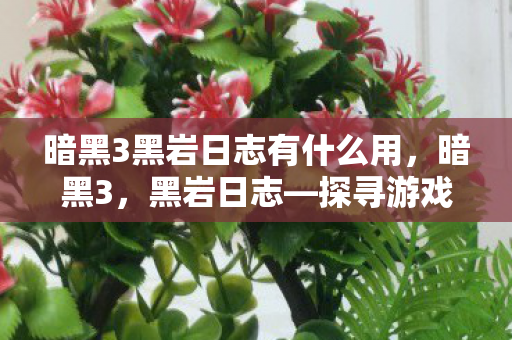 暗黑3黑岩日志有什么用，暗黑3，黑岩日志—探寻游戏深处的秘密