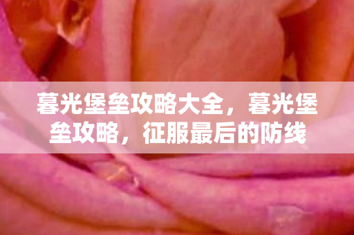 暮光堡垒攻略大全，暮光堡垒攻略，征服最后的防线