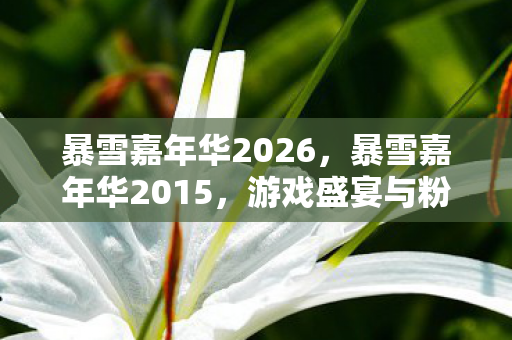 暴雪嘉年华2026，暴雪嘉年华2015，游戏盛宴与粉丝狂欢的年度盛会