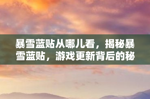 暴雪蓝贴从哪儿看，揭秘暴雪蓝贴，游戏更新背后的秘密故事