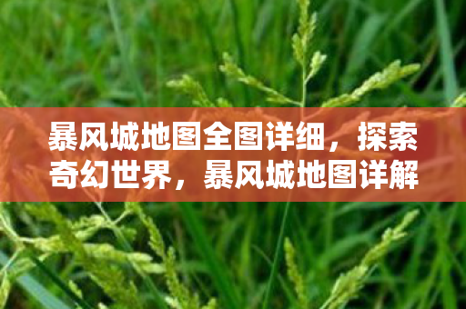 暴风城地图全图详细，探索奇幻世界，暴风城地图详解